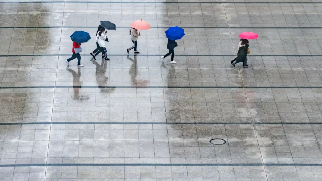 巴乐视频怎么用适用场景与常见问题处理指南
